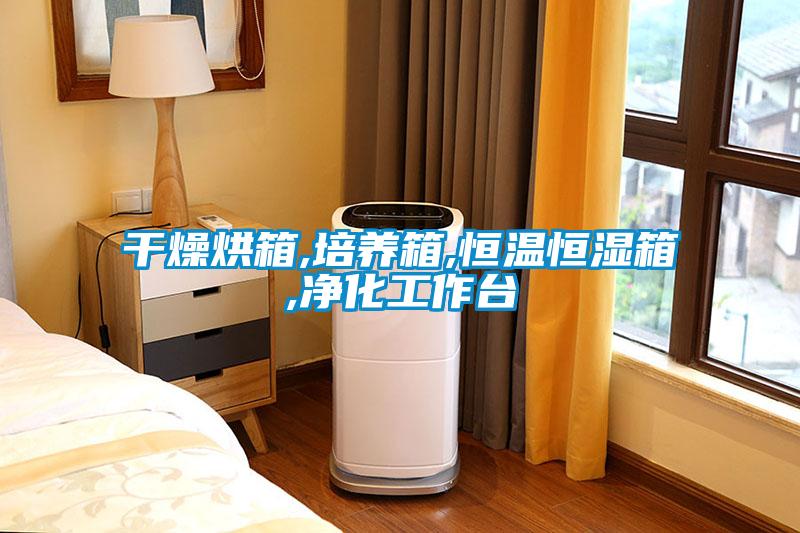 干燥烘箱,培養(yǎng)箱,恒溫恒濕箱,凈化工作臺(tái)