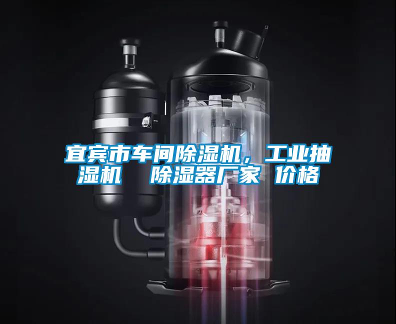 宜賓市車間除濕機，工業(yè)抽濕機  除濕器廠家 價格