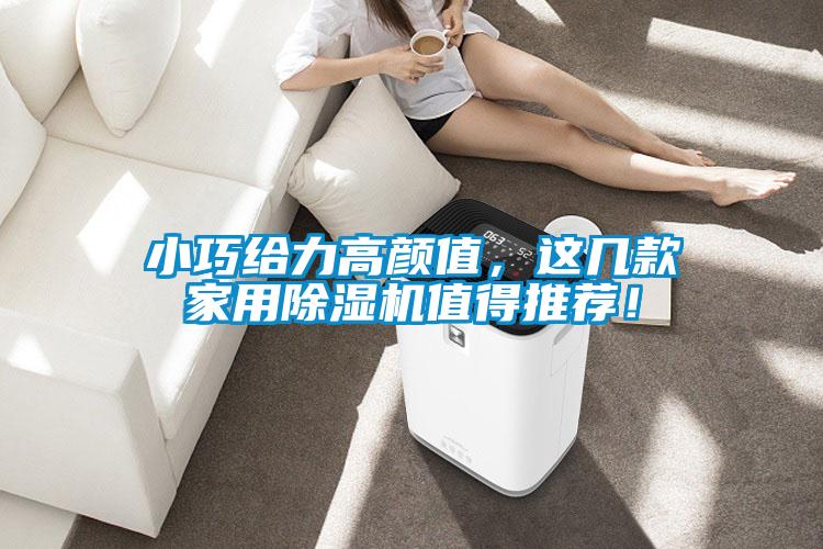 小巧給力高顏值，這幾款家用除濕機值得推薦！