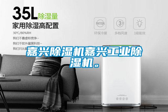 嘉興除濕機嘉興工業除濕機。