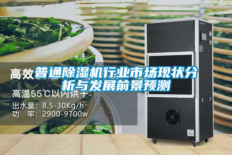 普通除濕機(jī)行業(yè)市場(chǎng)現(xiàn)狀分析與發(fā)展前景預(yù)測(cè)