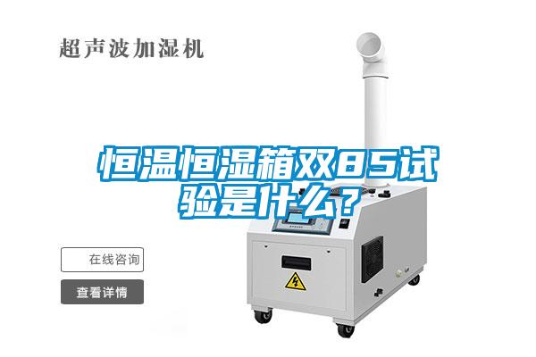 恒溫恒濕箱雙85試驗(yàn)是什么？