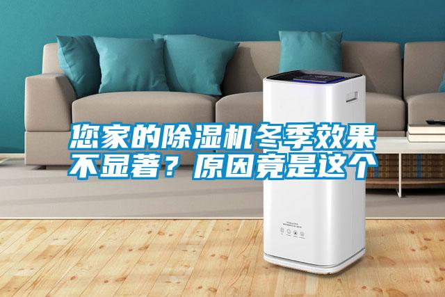 您家的除濕機(jī)冬季效果不顯著？原因竟是這個(gè)