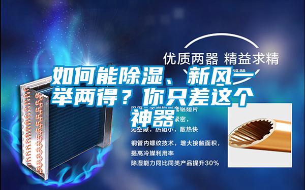 如何能除濕、新風(fēng)一舉兩得？你只差這個神器