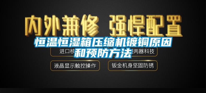 恒溫恒濕箱壓縮機鍍銅原因和預防方法