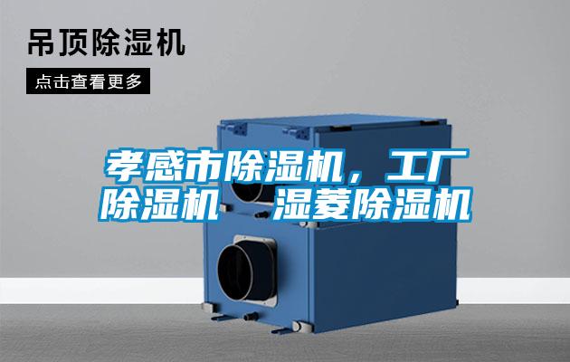 孝感市除濕機(jī)，工廠除濕機(jī)  濕菱除濕機(jī)