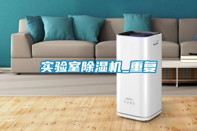 實(shí)驗(yàn)室除濕機(jī)_重復(fù)