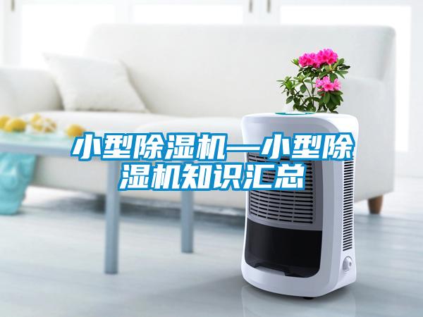小型除濕機(jī)—小型除濕機(jī)知識匯總