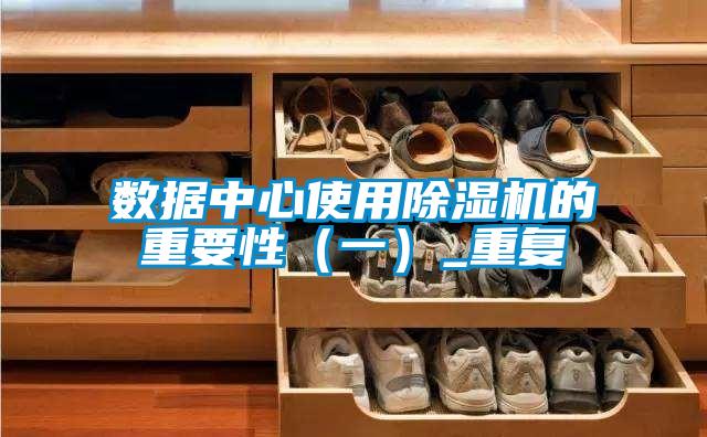 數據中心使用除濕機的重要性(一)_重復