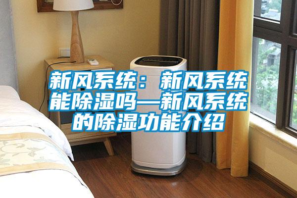 新風系統(tǒng)：新風系統(tǒng)能除濕嗎—新風系統(tǒng)的除濕功能介紹