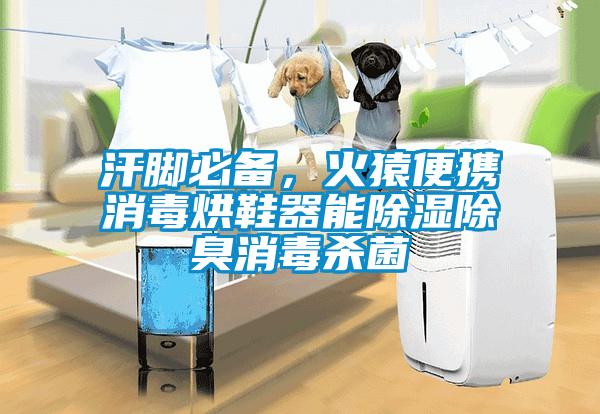汗腳必備，火猿便攜消毒烘鞋器能除濕除臭消毒殺菌