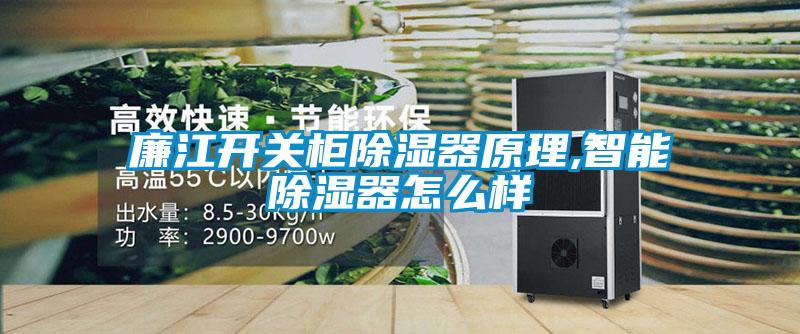 廉江開關(guān)柜除濕器原理,智能除濕器怎么樣