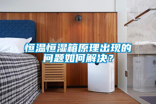 恒溫恒濕箱原理出現(xiàn)的問題如何解決？