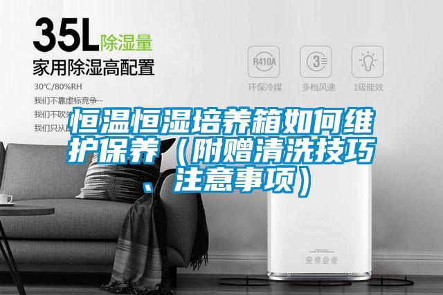 恒溫恒濕培養(yǎng)箱如何維護保養(yǎng)（附贈清洗技巧、注意事項）