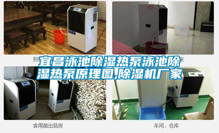 宜昌泳池除濕熱泵泳池除濕熱泵原理圖,除濕機(jī)廠(chǎng)家