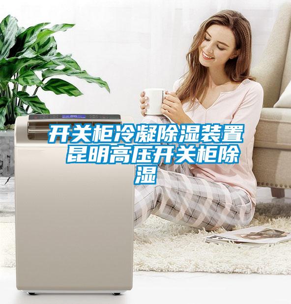 開關(guān)柜冷凝除濕裝置 昆明高壓開關(guān)柜除濕