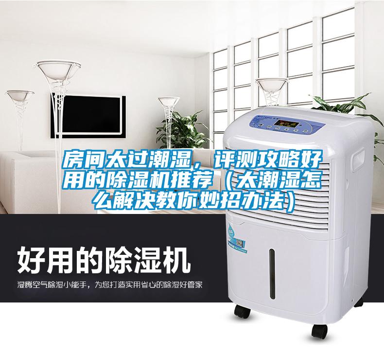 房間太過潮濕，評測攻略好用的除濕機(jī)推薦（太潮濕怎么解決教你妙招辦法）