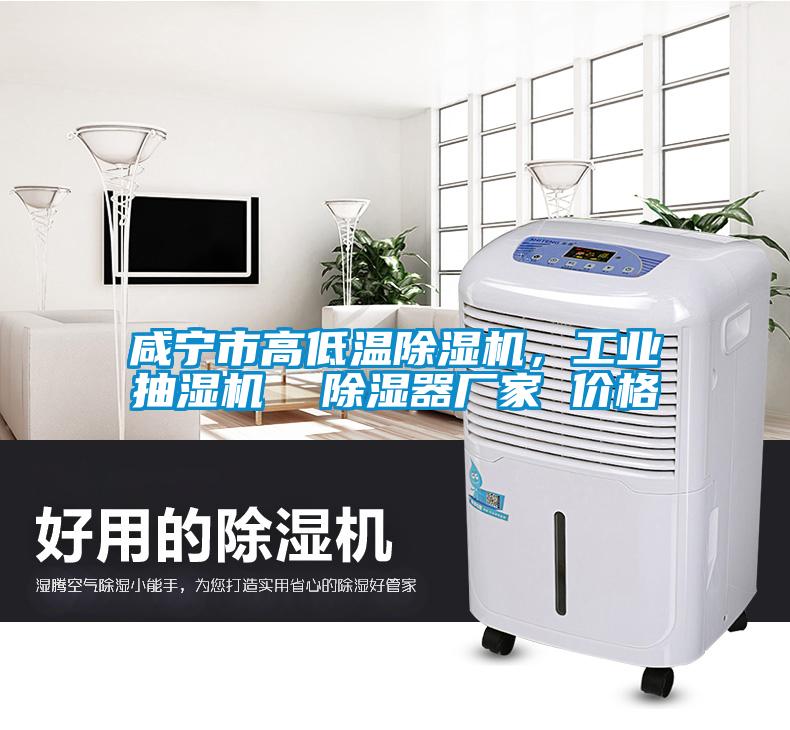 咸寧市高低溫除濕機(jī)，工業(yè)抽濕機(jī)  除濕器廠家 價(jià)格