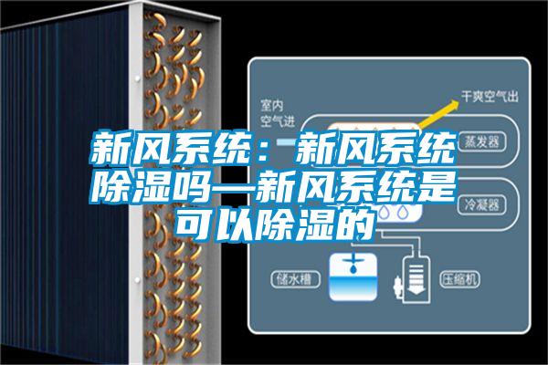 新風系統(tǒng)：新風系統(tǒng)除濕嗎—新風系統(tǒng)是可以除濕的