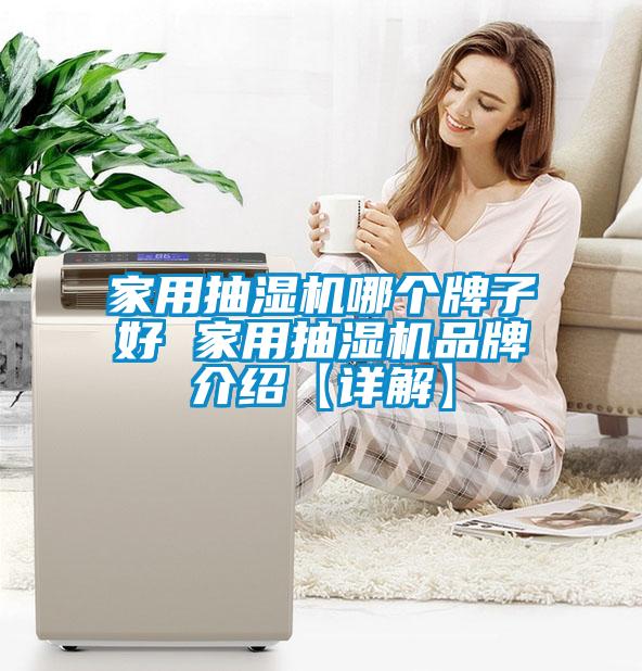 家用抽濕機(jī)哪個牌子好 家用抽濕機(jī)品牌介紹【詳解】