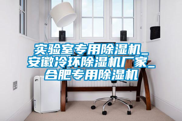 實驗室專用除濕機_安徽冷環(huán)除濕機廠家_合肥專用除濕機