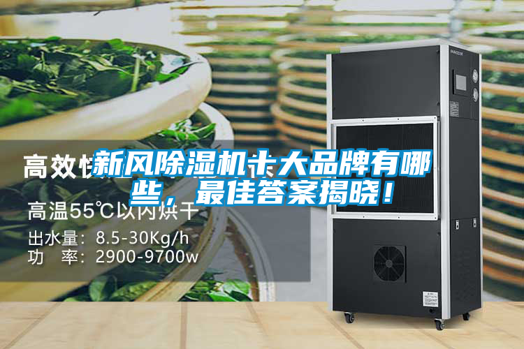 新風(fēng)除濕機(jī)十大品牌有哪些，最佳答案揭曉！
