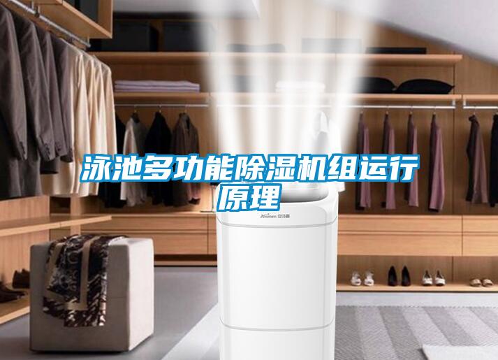 泳池多功能除濕機(jī)組運(yùn)行原理
