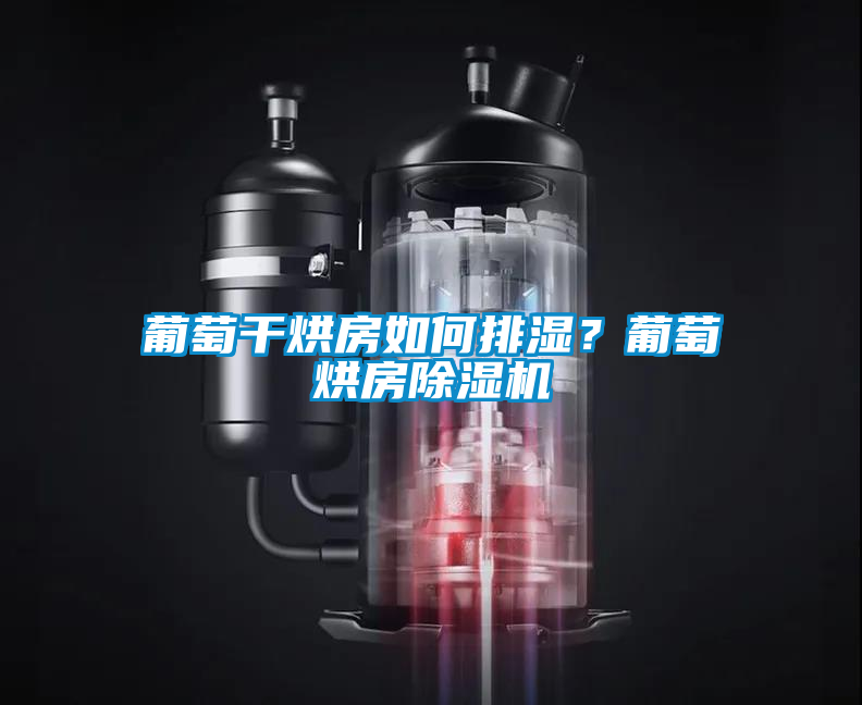 葡萄干烘房如何排濕？葡萄烘房除濕機