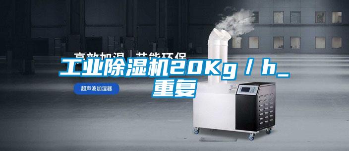 工業(yè)除濕機20Kg／h_重復