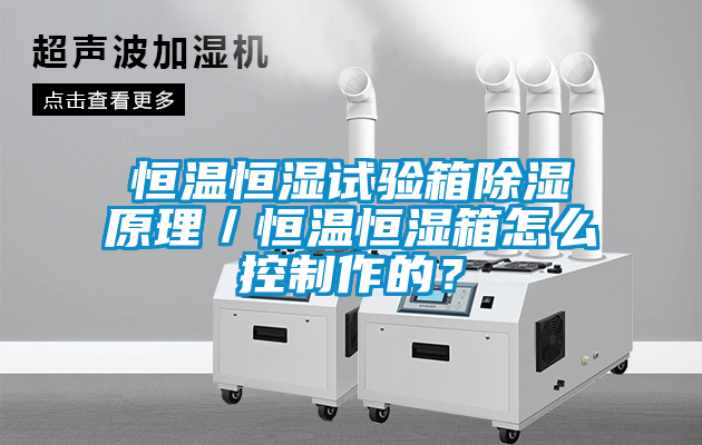 恒溫恒濕試驗箱除濕原理／恒溫恒濕箱怎么控制作的？