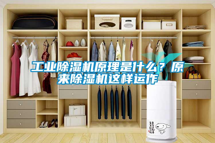 工業(yè)除濕機(jī)原理是什么？原來除濕機(jī)這樣運(yùn)作