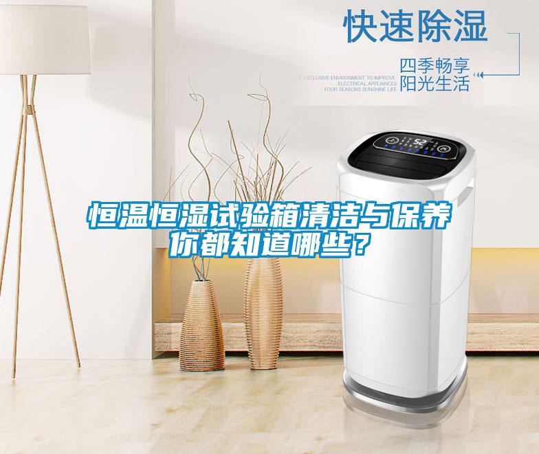 恒溫恒濕試驗(yàn)箱清潔與保養(yǎng)你都知道哪些？