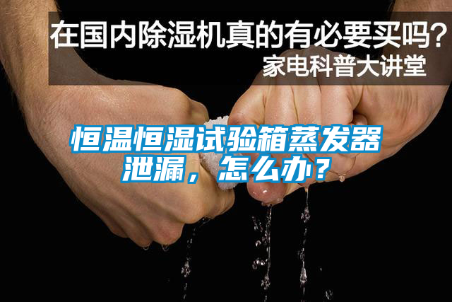 恒溫恒濕試驗箱蒸發(fā)器泄漏，怎么辦？