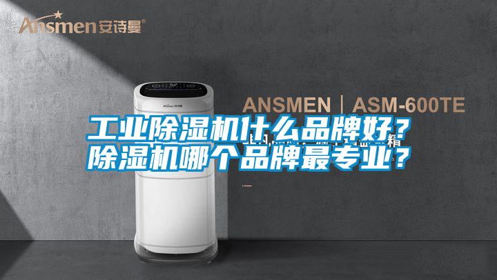 工業(yè)除濕機(jī)什么品牌好？除濕機(jī)哪個(gè)品牌最專業(yè)？