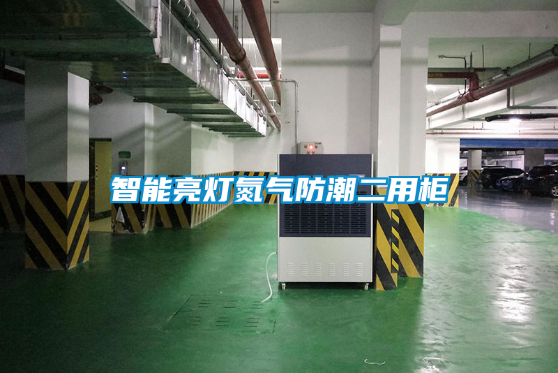 智能亮燈氮?dú)夥莱倍霉?/></p>
						    <p style=