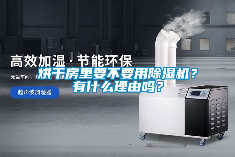 烘干房里要不要用除濕機(jī)？有什么理由嗎？