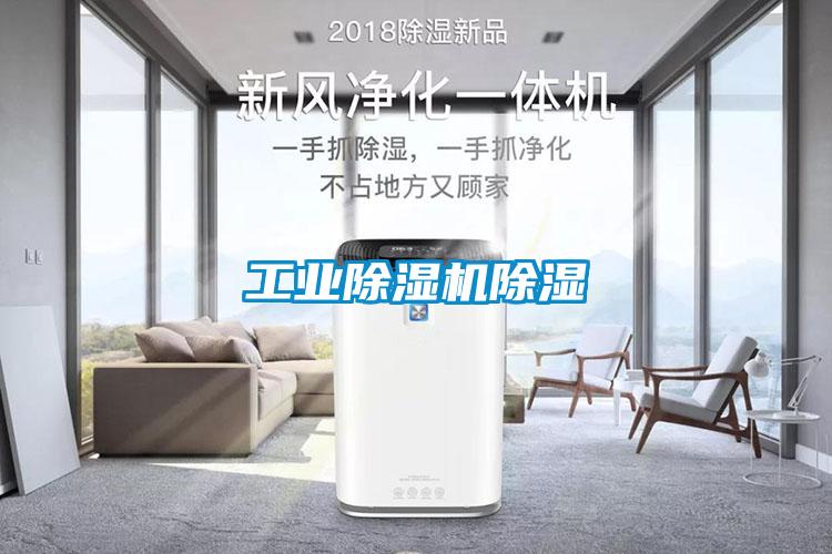 工業(yè)除濕機除濕