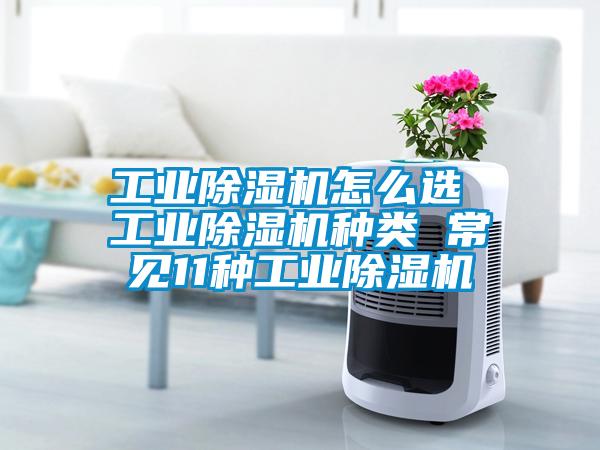 工業(yè)除濕機(jī)怎么選 工業(yè)除濕機(jī)種類 常見(jiàn)11種工業(yè)除濕機(jī)