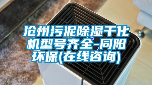 滄州污泥除濕干化機(jī)型號(hào)齊全-同陽(yáng)環(huán)保(在線咨詢(xún))