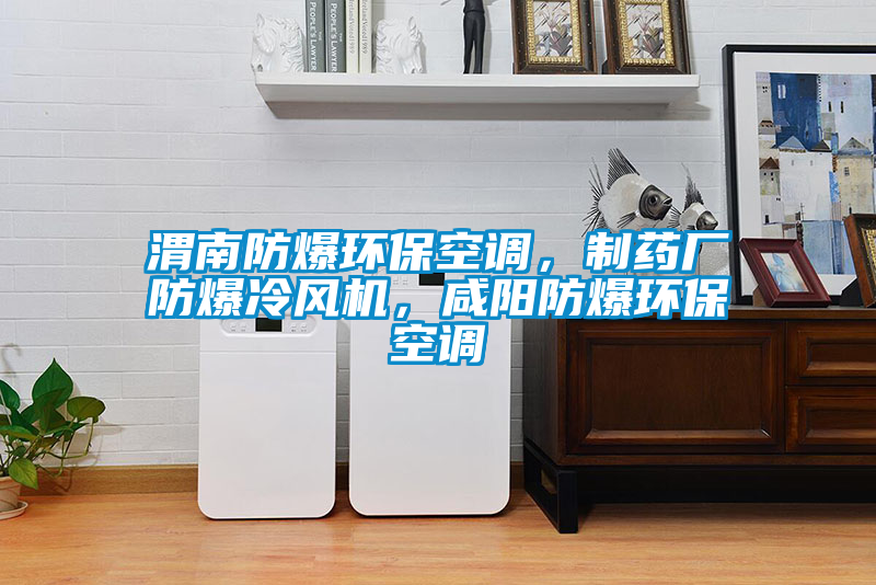渭南防爆環(huán)?？照{(diào)，制藥廠防爆冷風(fēng)機(jī)，咸陽防爆環(huán)?？照{(diào)