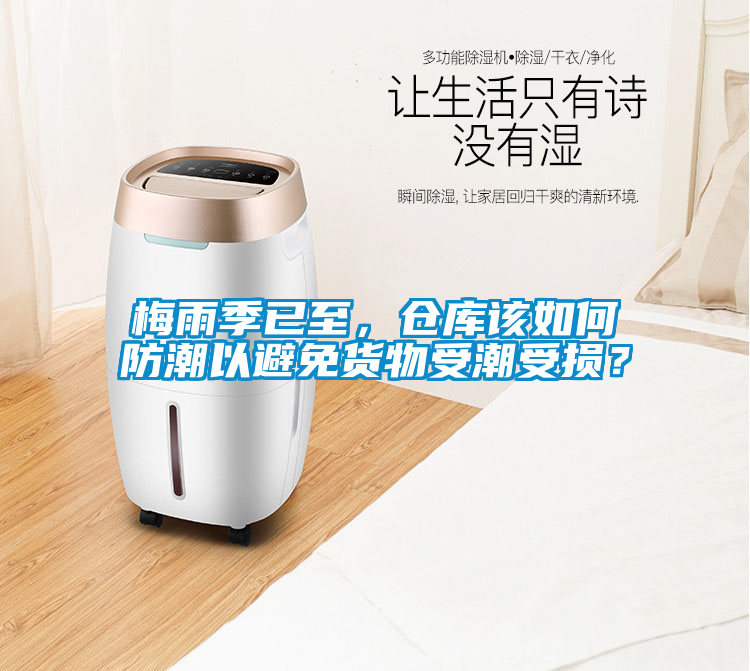 梅雨季已至，倉庫該如何防潮以避免貨物受潮受損？