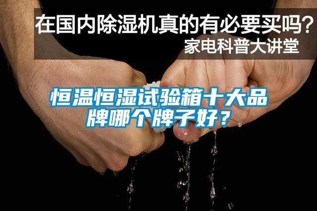 恒溫恒濕試驗箱十大品牌哪個牌子好？