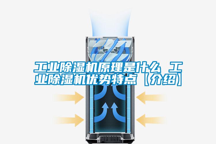 工業(yè)除濕機(jī)原理是什么 工業(yè)除濕機(jī)優(yōu)勢特點【介紹】