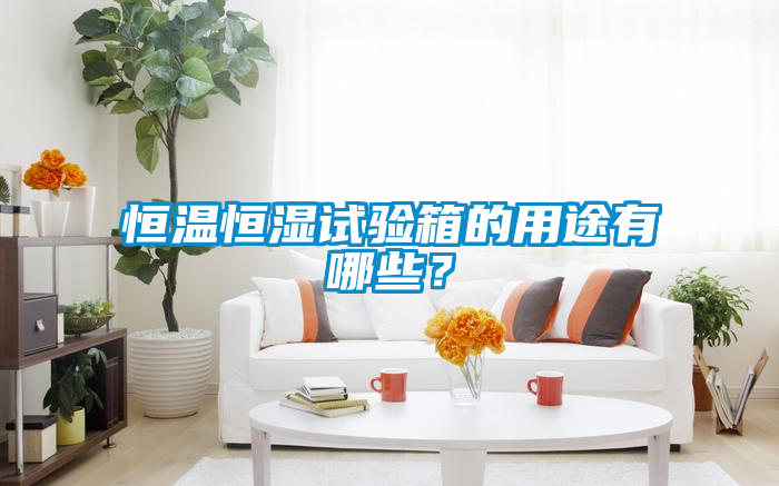 恒溫恒濕試驗箱的用途有哪些？