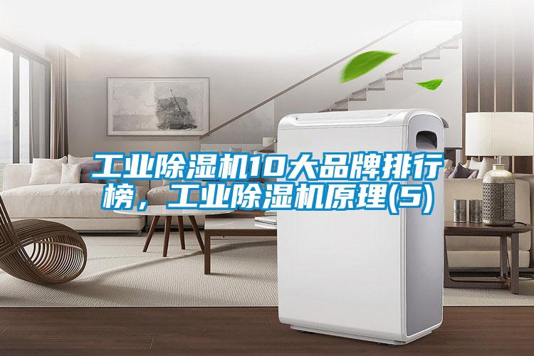 工業(yè)除濕機10大品牌排行榜，工業(yè)除濕機原理(5)