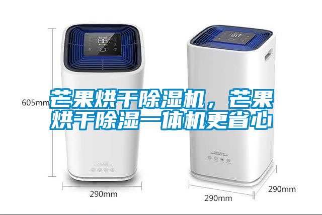 芒果烘干除濕機，芒果烘干除濕一體機更省心