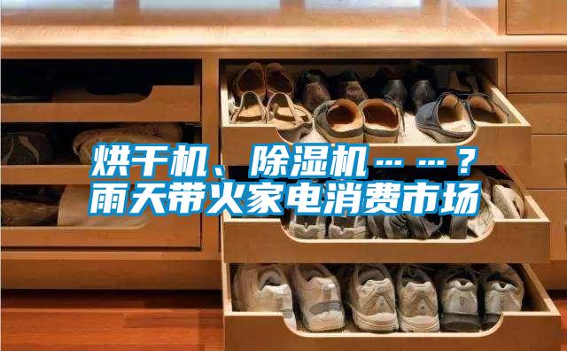 烘干機(jī)、除濕機(jī)……？雨天帶火家電消費(fèi)市場