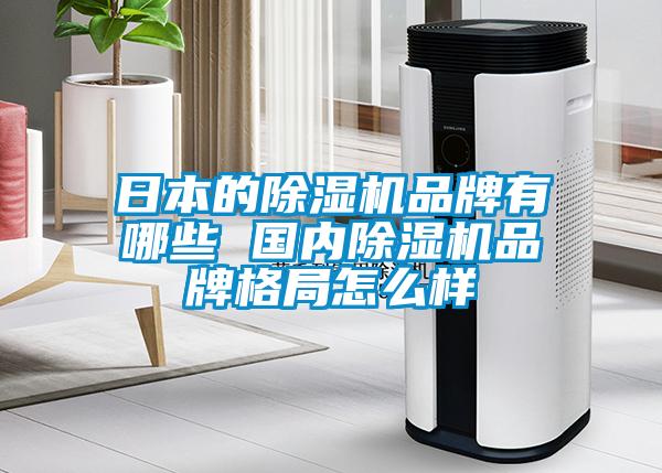 日本的除濕機(jī)品牌有哪些 國(guó)內(nèi)除濕機(jī)品牌格局怎么樣