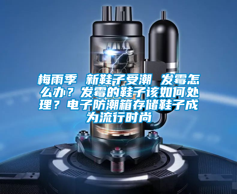 梅雨季 新鞋子受潮 發霉怎么辦？發霉的鞋子該如何處理？電子防潮箱存儲鞋子成為流行時尚