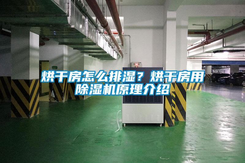 烘干房怎么排濕？烘干房用除濕機(jī)原理介紹